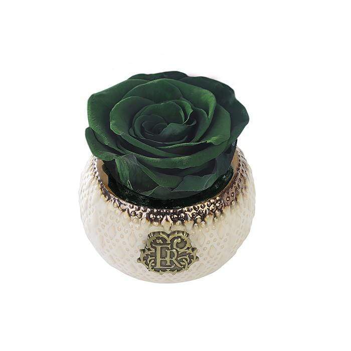 Eternal Roses® Centerpiece Wintergreen Mini Soho Classic Eternal Forever Rose