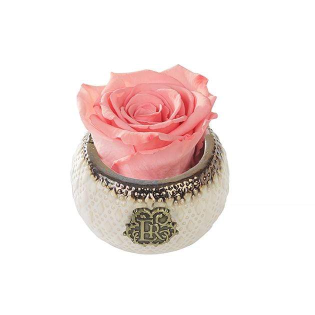 Eternal Roses® Centerpiece Amaryllis Mini Soho Classic Eternal Forever Rose