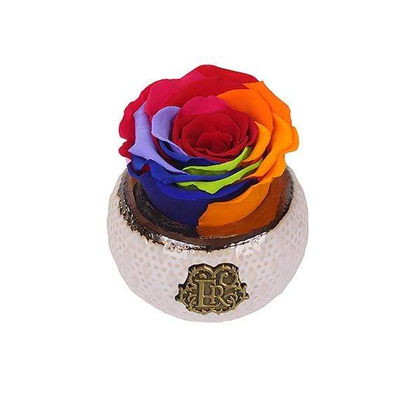 Eternal Roses® Centerpiece Rainbow Mini Soho Classic Eternal Forever Rose