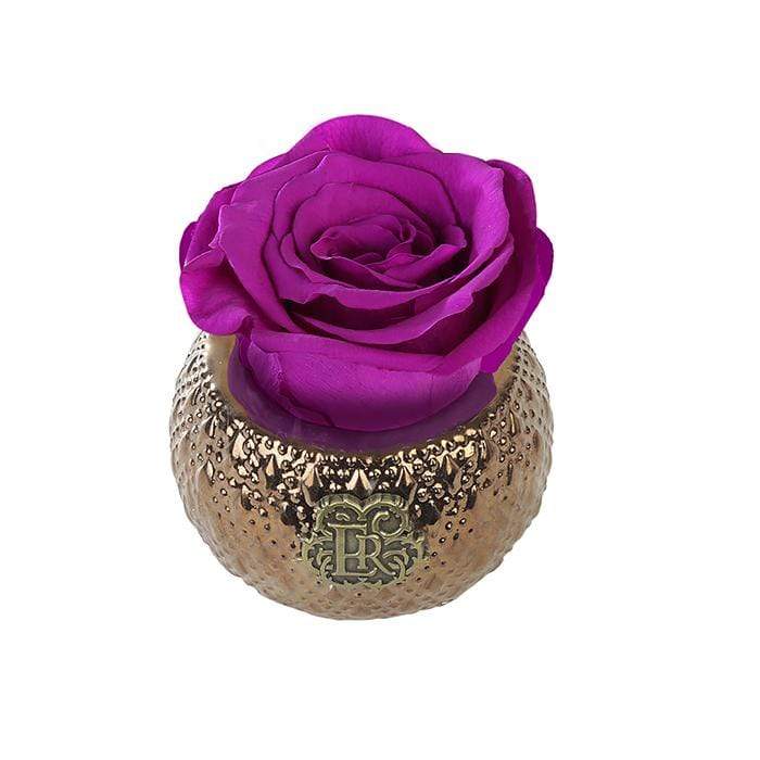 Eternal Roses® Centerpiece Orchid Mini Soho Royal Eternal Luxury Rose