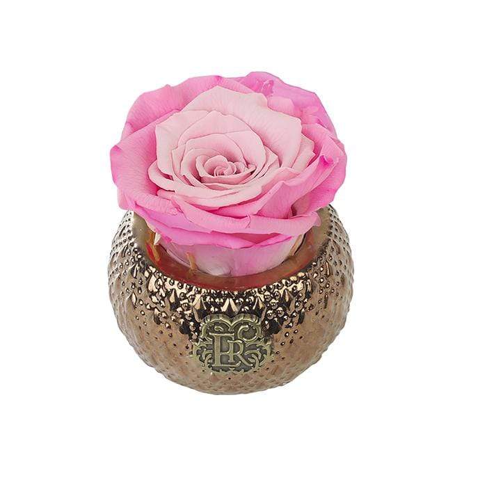 Eternal Roses® Centerpiece Rosette Mini Soho Royal Eternal Luxury Rose
