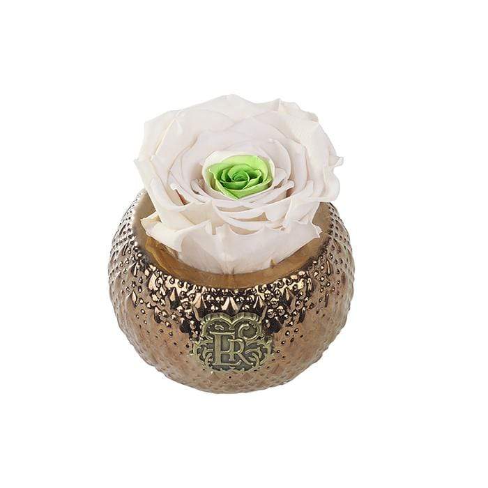 Eternal Roses® Centerpiece Chartreuse Mini Soho Royal Eternal Luxury Rose