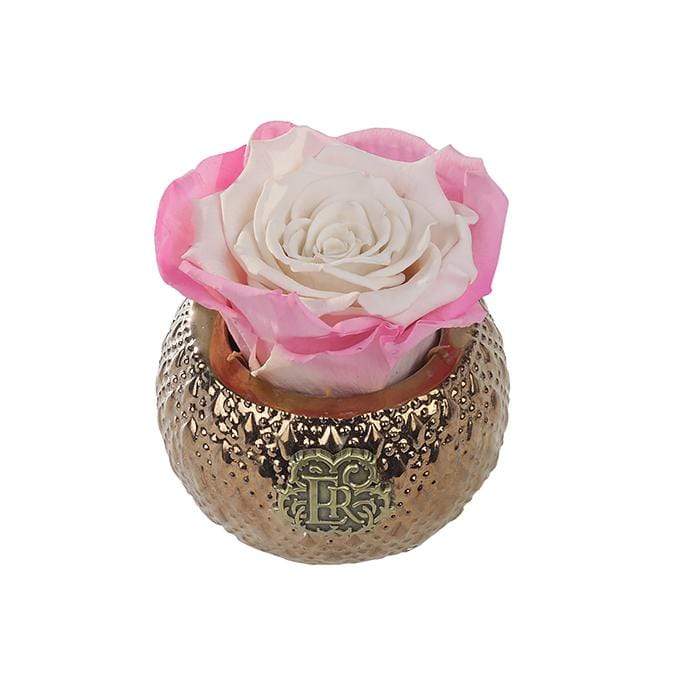 Eternal Roses® Centerpiece Sweet Pink Mini Soho Royal Eternal Luxury Rose