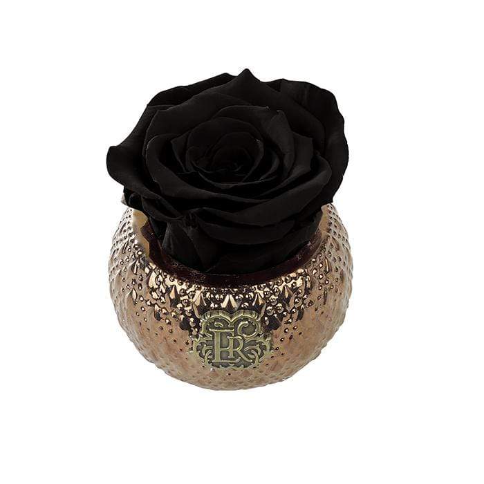 Eternal Roses® Centerpiece Midnight Mini Soho Royal Eternal Luxury Rose
