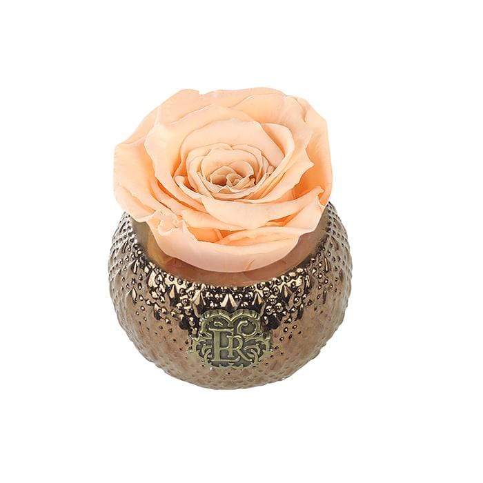 Eternal Roses® Centerpiece Apricot Mini Soho Royal Eternal Luxury Rose
