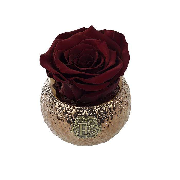 Eternal Roses® Centerpiece Wineberry Mini Soho Royal Eternal Luxury Rose