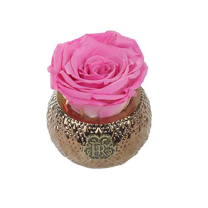 Eternal Roses® Centerpiece Primrose Mini Soho Royal Eternal Luxury Rose