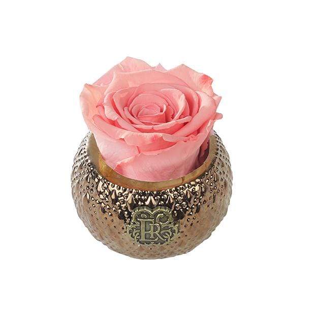 Eternal Roses® Centerpiece Amarylis Mini Soho Royal Eternal Luxury Rose