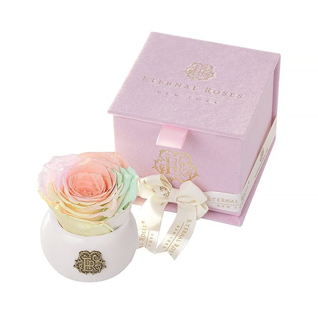 Eternal Roses® Centerpiece Macaron Nobu Soft Pink Velvet Gift Box