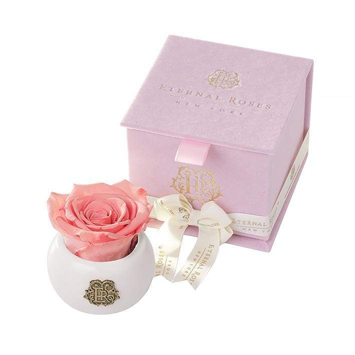 Eternal Roses® Centerpiece Hot Pink Soho Soft Pink Velvet Gift Box