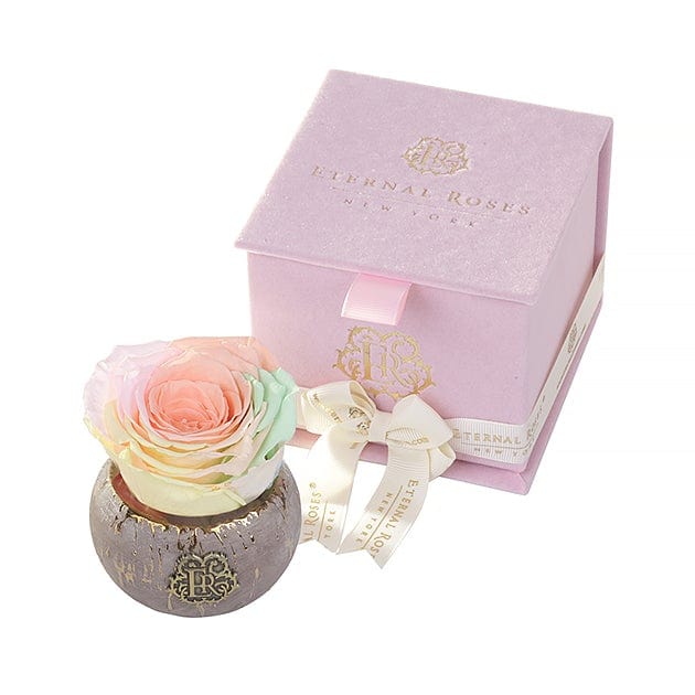 Eternal Roses® Centerpiece Macaroon Tiffany Soft Pink Velvet Gift Box
