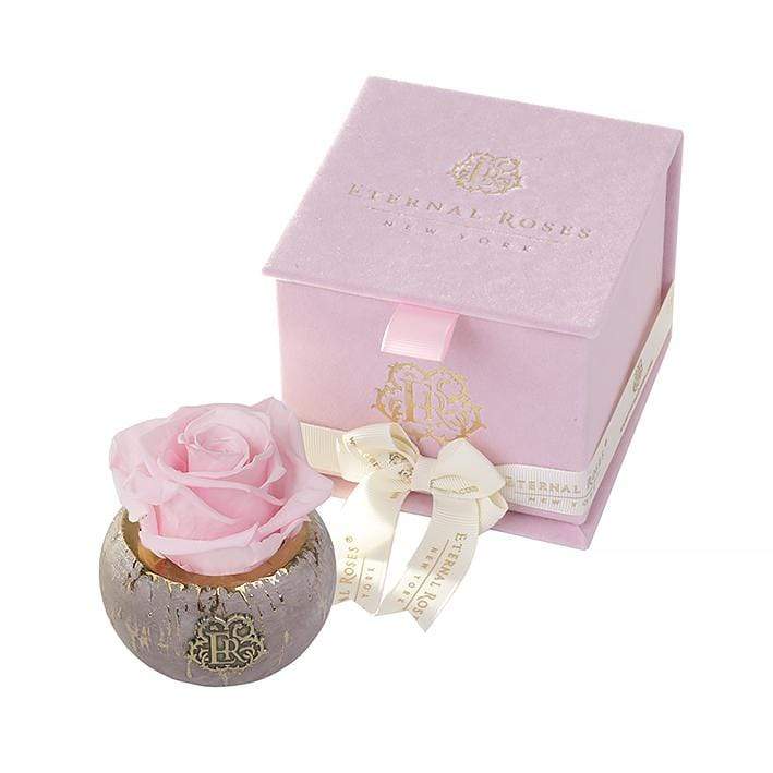 Eternal Roses® Centerpiece Pink Martini Tiffany Soft Pink Velvet Gift Box