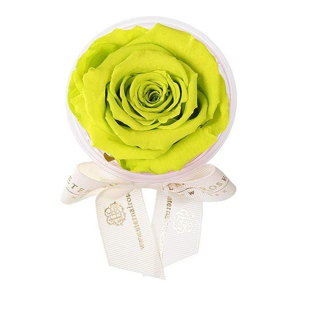 Eternal Roses® Mojito Eternal Rose Party Favor