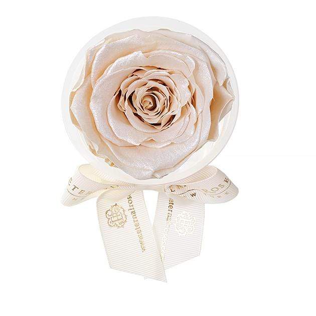 Eternal Roses® Pearly Champagne Eternal Rose Party Favor