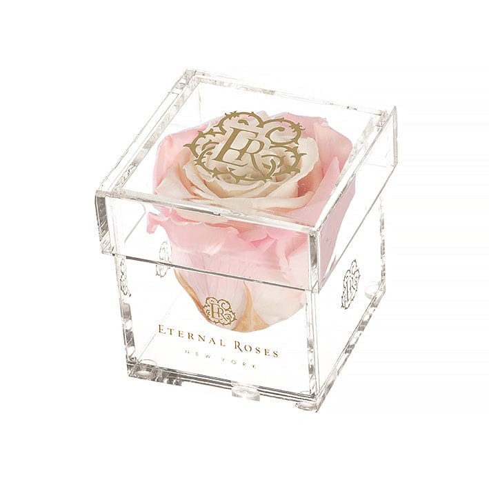 Eternal Roses® Gift Box 1-Rose / Sweet Pink Madison Mini Roses Gift Box