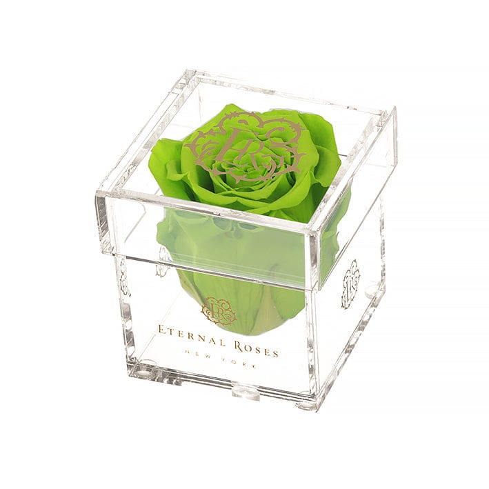 Eternal Roses® Gift Box 1-Rose / Mojito Madison Mini Roses Gift Box