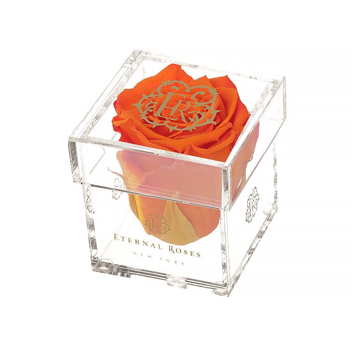 Eternal Roses® Gift Box 1-Rose / Sunset Madison Mini Roses Gift Box