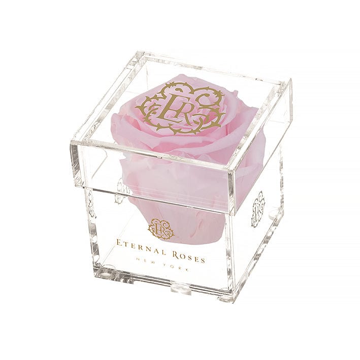 Eternal Roses® Gift Box 1-Rose / Pink Martini Madison Mini Roses Gift Box