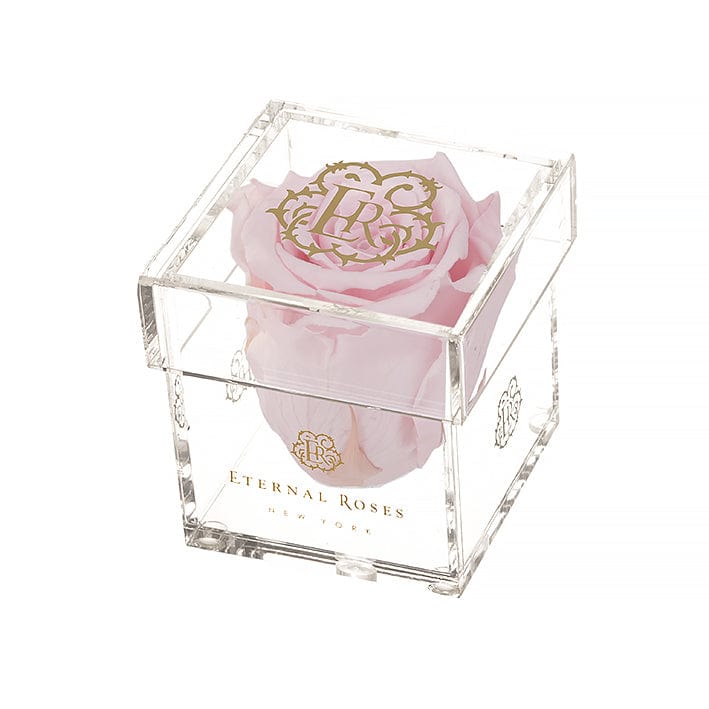 Eternal Roses® Gift Box 1-Rose / Blush Madison Mini Roses Gift Box