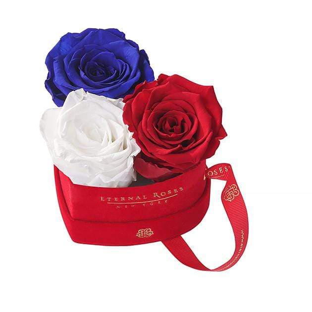 Eternal Roses® Freedom Mini Chelsea Red Velvet Gift Box
