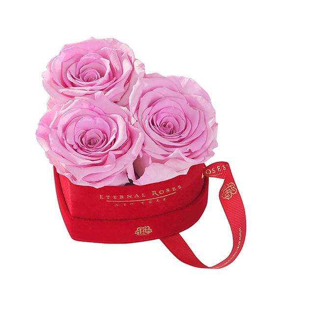 Eternal Roses® Primrose Mini Chelsea Red Velvet Gift Box