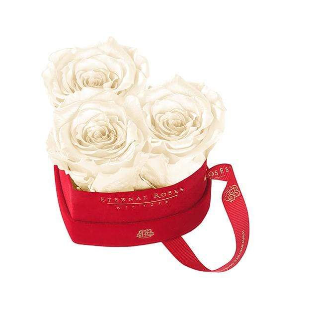 Eternal Roses® Champagne Mini Chelsea Red Velvet Gift Box