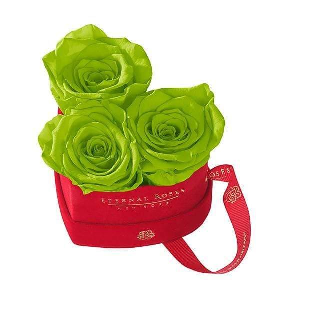Eternal Roses® Mojito Mini Chelsea Red Velvet Gift Box