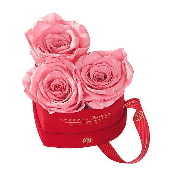 Eternal Roses® Amaryllis Mini Chelsea Red Velvet Gift Box - Perfect Valentine Gift