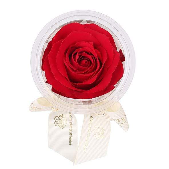 Eternal Roses® Scarlet Mini Eternal Rose Party Favor Set of 6