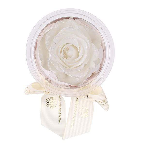 Eternal Roses® Frosted Pearl Mini Eternal Rose Party Favor Set of 6