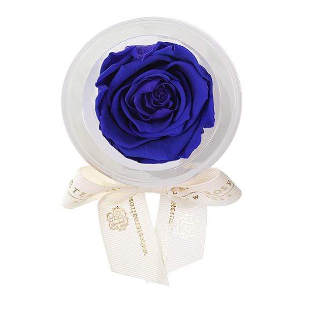 Eternal Roses® Azzure Mini Eternal Rose Party Favor Set of 6