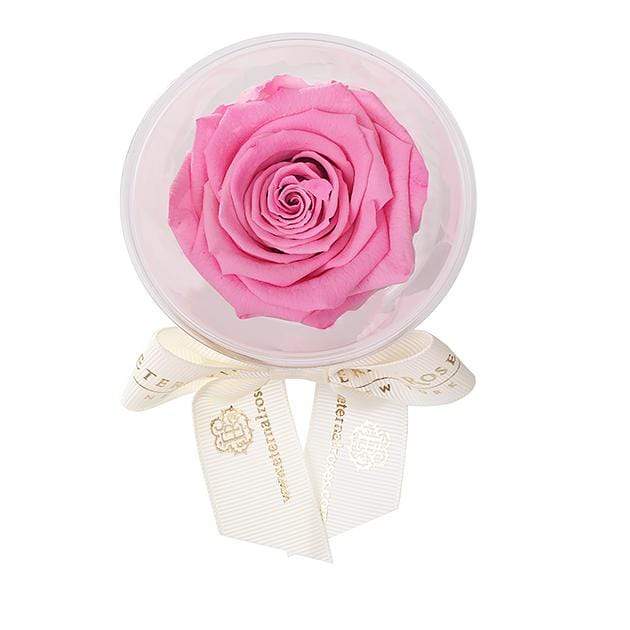 Eternal Roses® Primrose Mini Eternal Rose Party Favor Set of 6