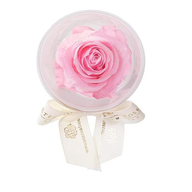 Eternal Roses® Baby Pink Mini Eternal Rose Party Favor Set of 6