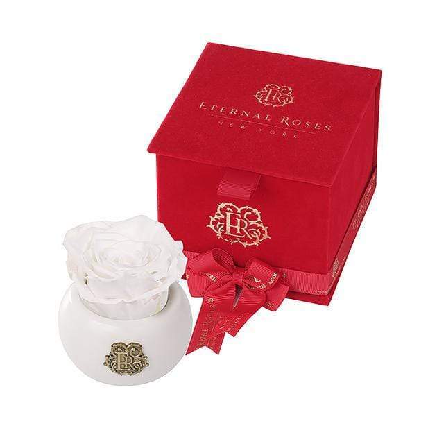 Eternal Roses® Frost Nobu Red Velvet Gift Box