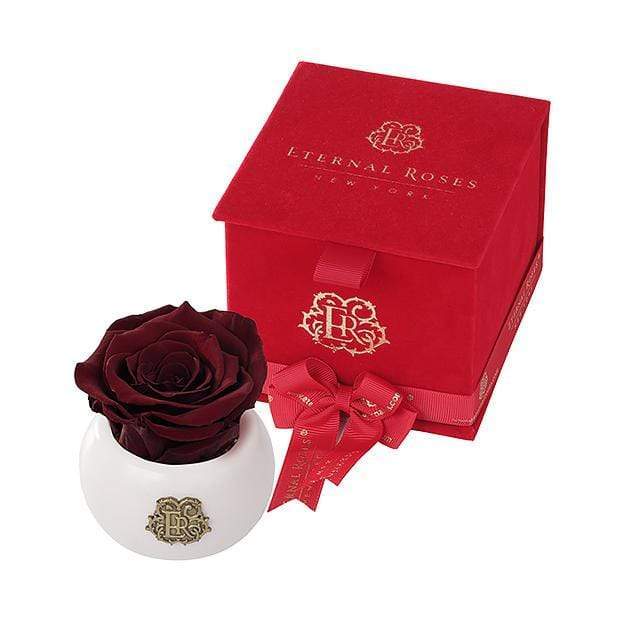 Eternal Roses® Wineberry Nobu Red Velvet Gift Box