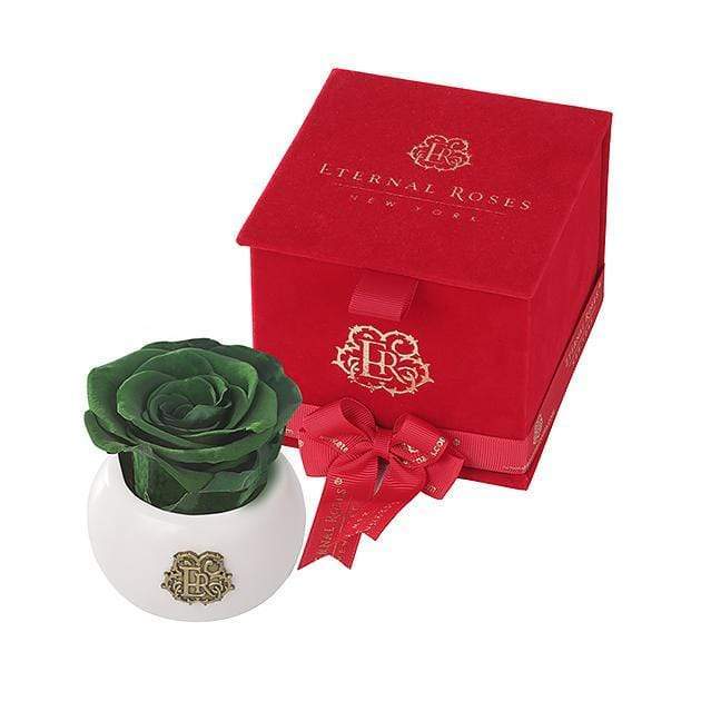 Eternal Roses® Wintergreen Nobu Red Velvet Gift Box