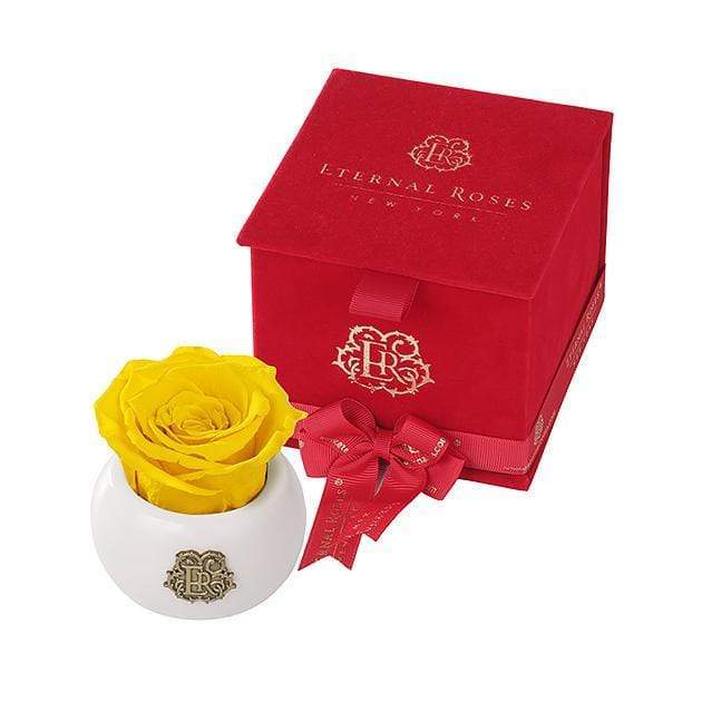 Eternal Roses® Friendship Yellow Nobu Red Velvet Gift Box