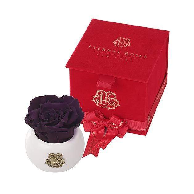 Eternal Roses® Plum Nobu Red Velvet Gift Box