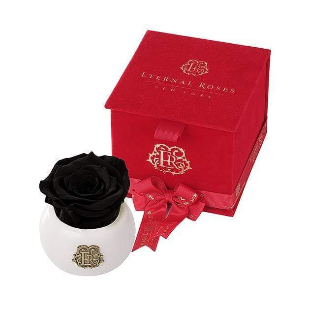 Eternal Roses® Midnight Nobu Red Velvet Gift Box