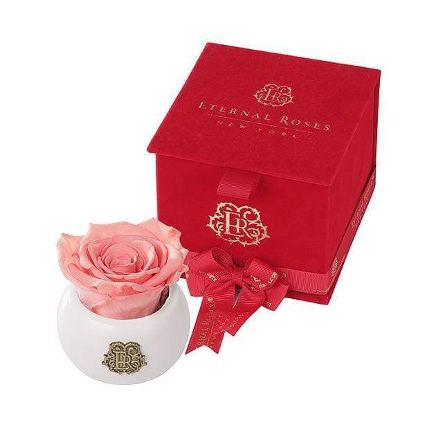 Eternal Roses® Amaryllis Nobu Red Velvet Gift Box
