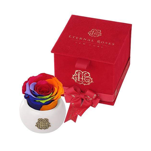 Eternal Roses® Rainbow Nobu Red Velvet Gift Box