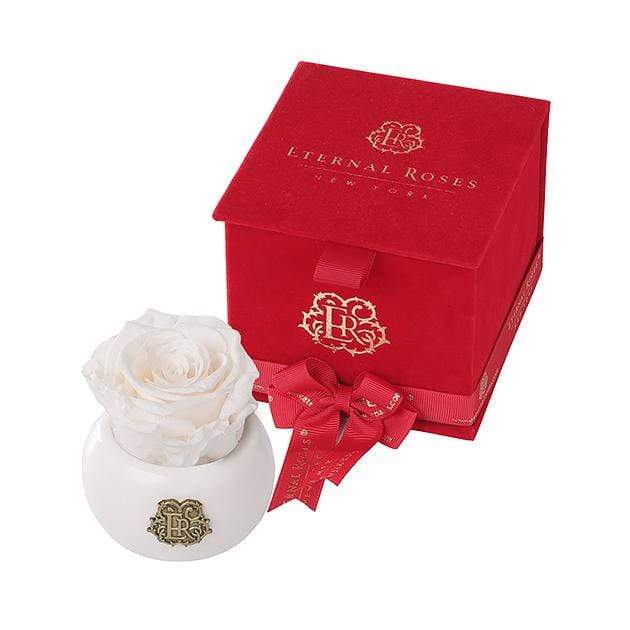 Eternal Roses® Mimosa Nobu Red Velvet Gift Box