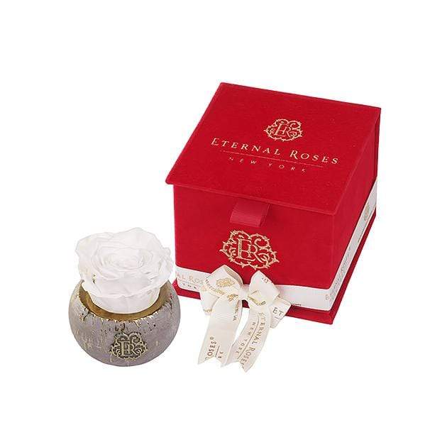  Red Velvet Gift Box with white rose.